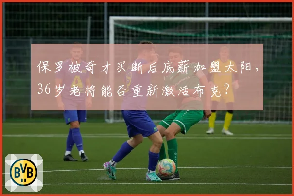 保罗被奇才买断后底薪加盟太阳,36岁老将能否重新激活布克?