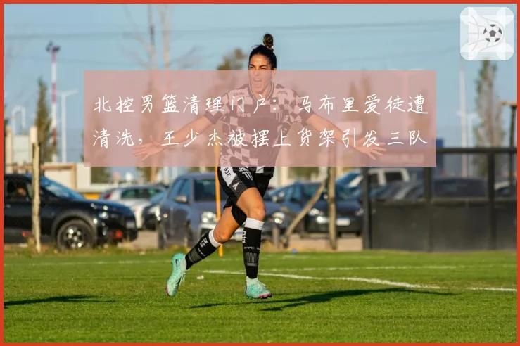 北控男篮清理门户:马布里爱徒遭清洗,王少杰被摆上货架引发三队竞购